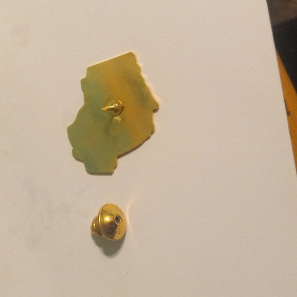 Pin - Picture 3 of 4